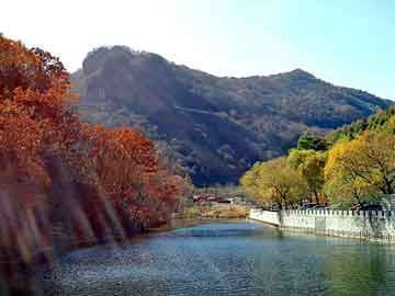 管家婆黑白马报图库，永昌seo程序